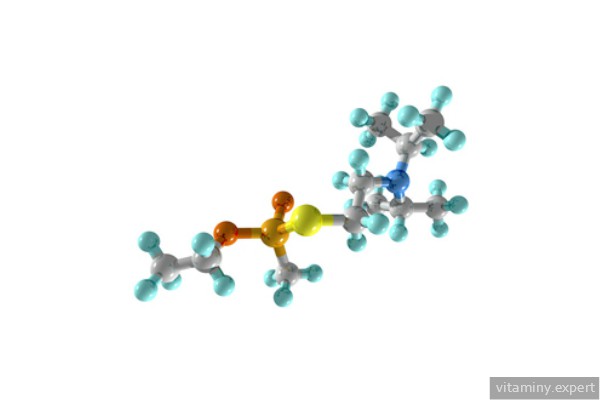 Молекула пангамовой кислоты